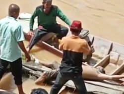 Geger, Warga Desa Aur Gading Temukan Mayat Mengapung di Sungai Batang Tembesi