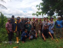 Lahan Persawahan Kelompok Tani Desa Malapari Mendapat Kunjungan Wabup Bakhtiar